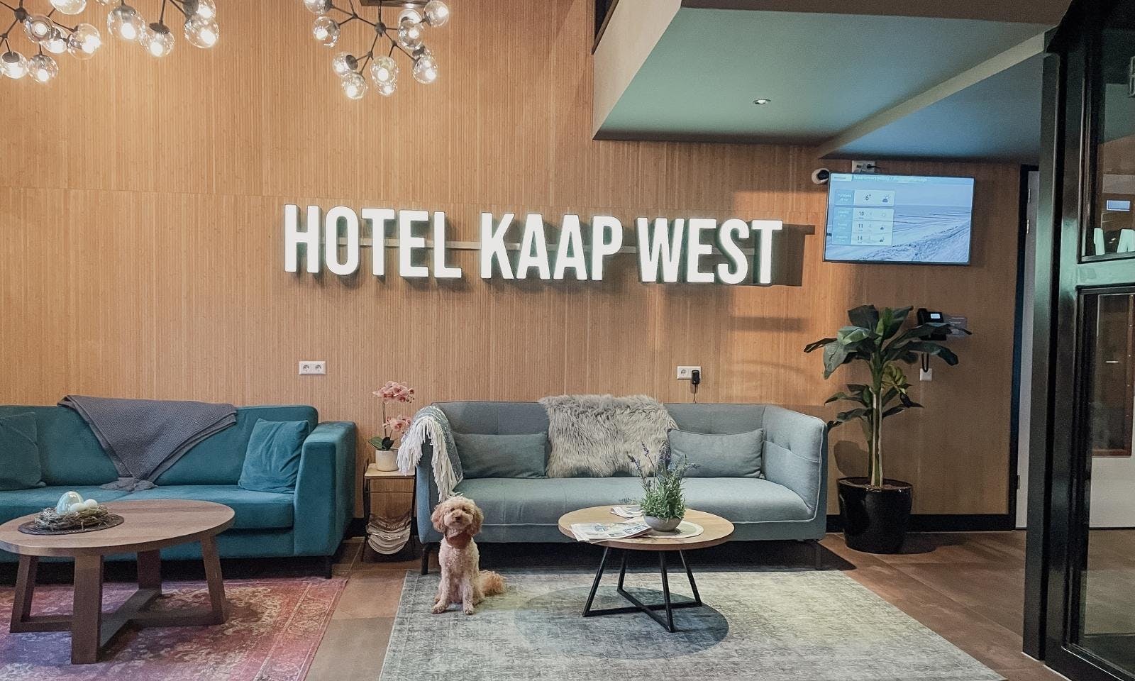 Hotel West Kaap in Westkapelle mit Hund