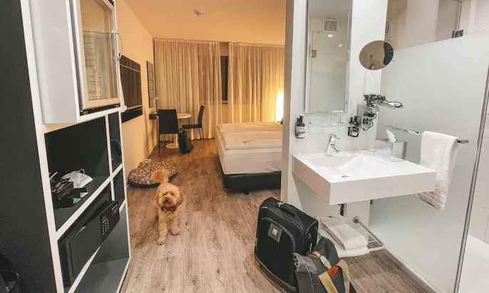 Zimmer Innside Melia in Aachen mit Hund