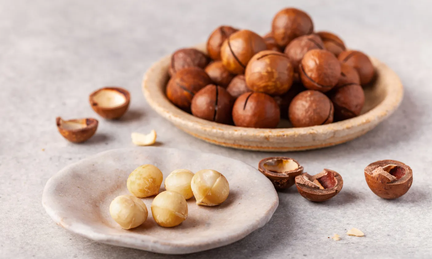 Macadamianüsse sind für Hunde giftig