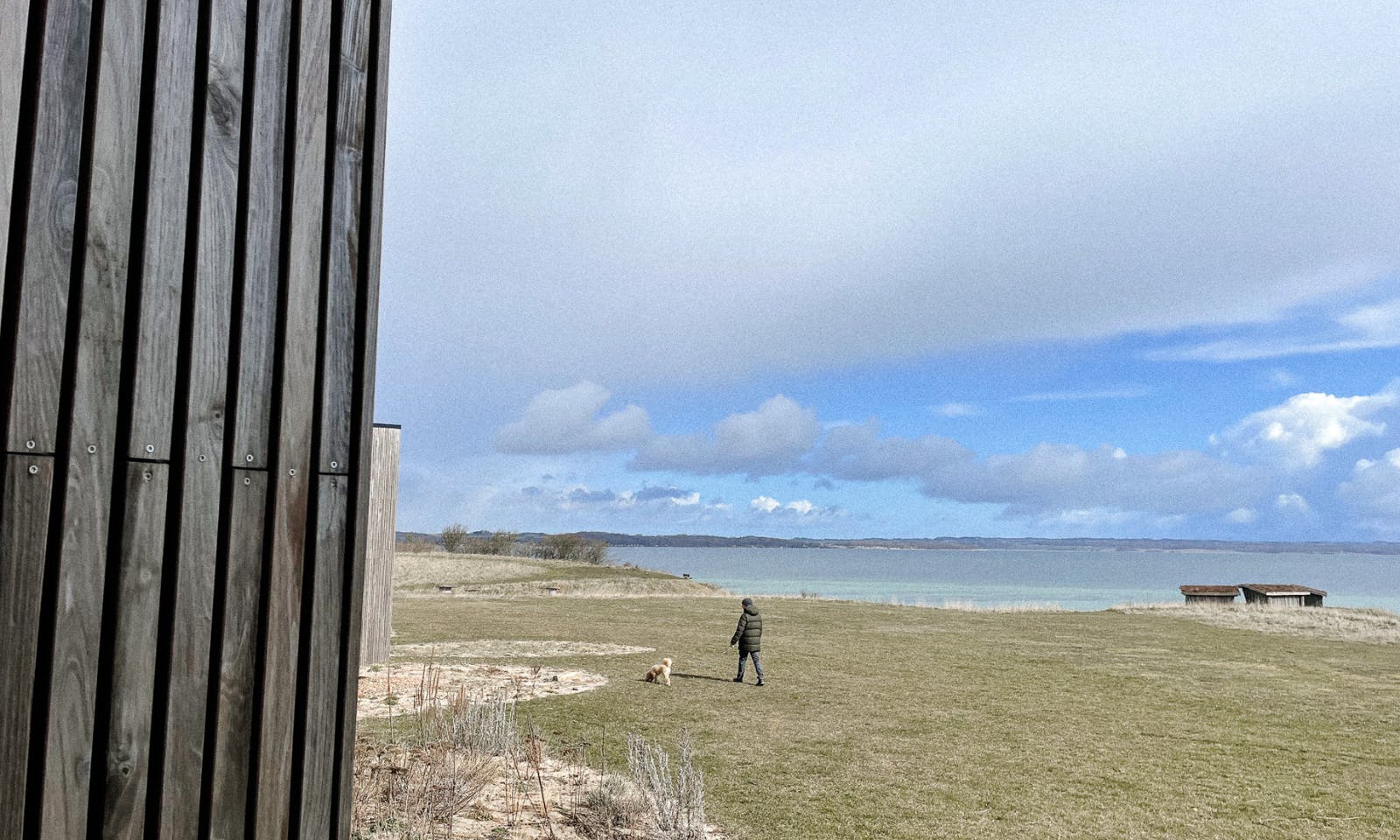 Ein Mann spaziert mit einem Hund am Meer