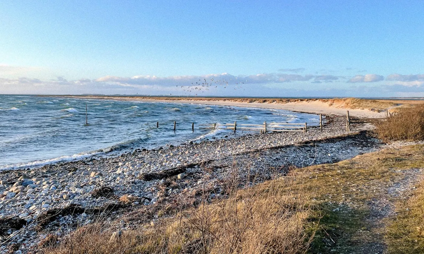 Toro Huse Fünen Dänemark