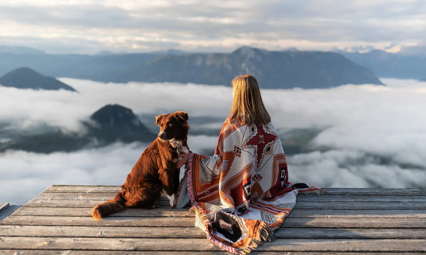 Hund auf dem Loser beim Sonnenaufgang