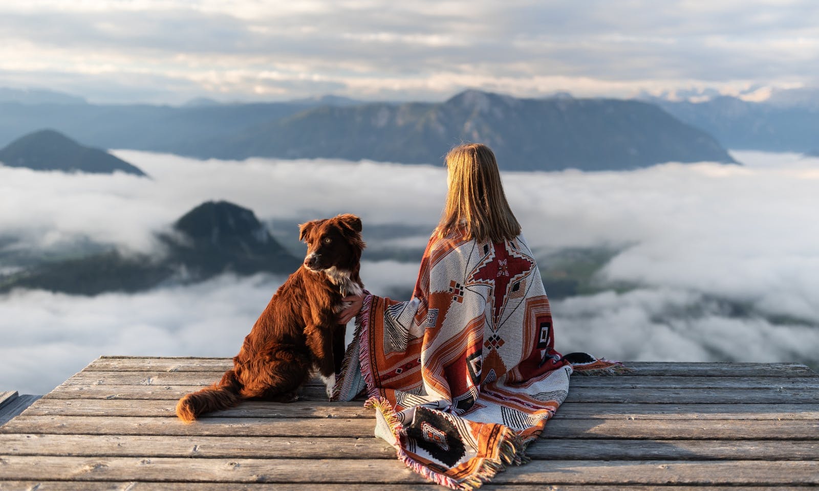 Hund auf dem Loser beim Sonnenaufgang