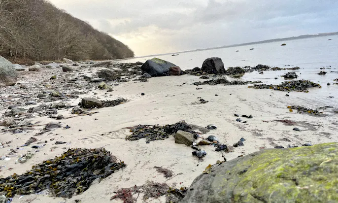 Sandstrand auf der Insel Helnæs