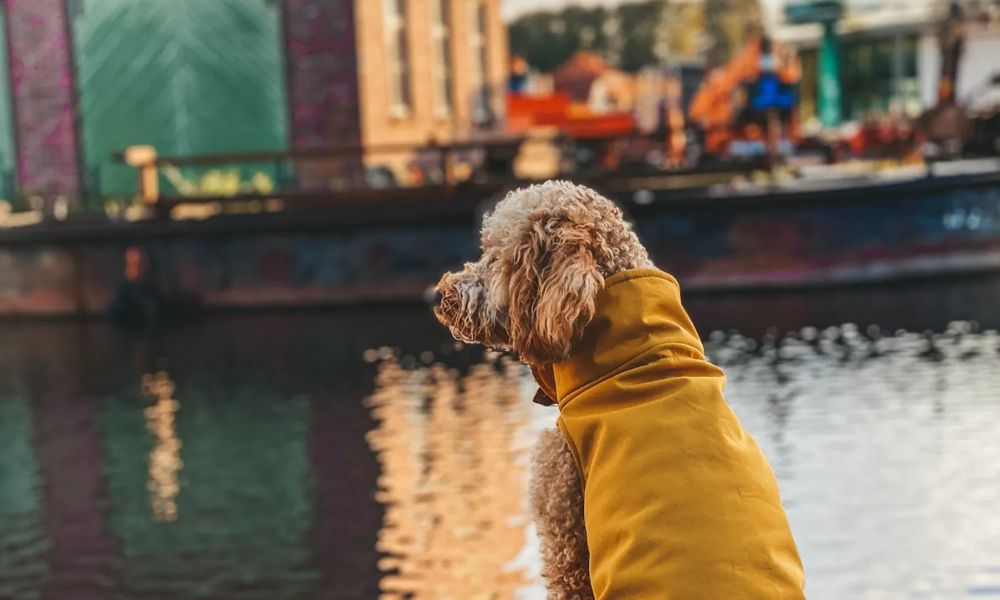 Urlaub mit Hund in Aurich