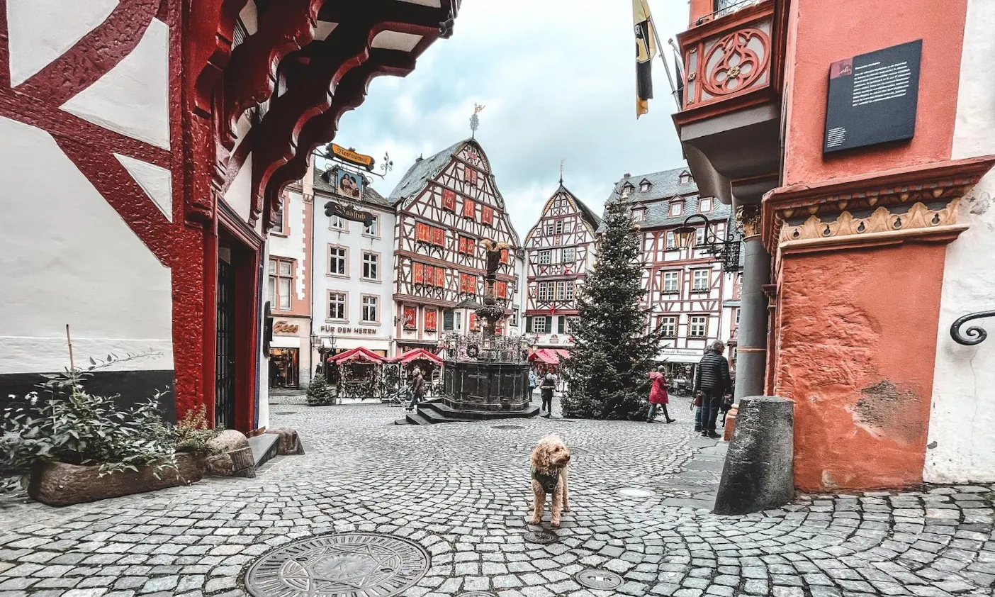 Bernkastel-Kues mit Hund