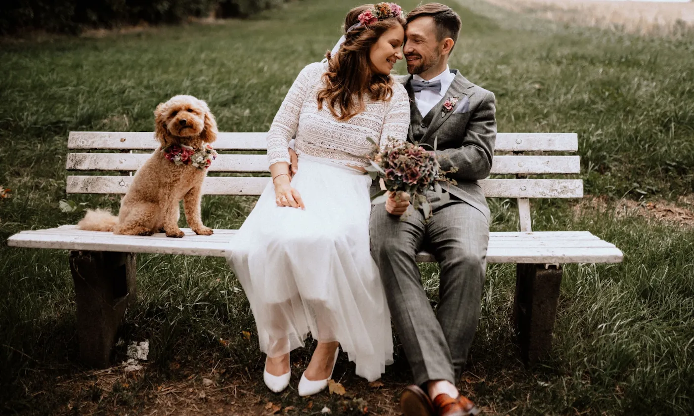 Goldendoodle Java als mit Blumenkranz auf der Hochzeit