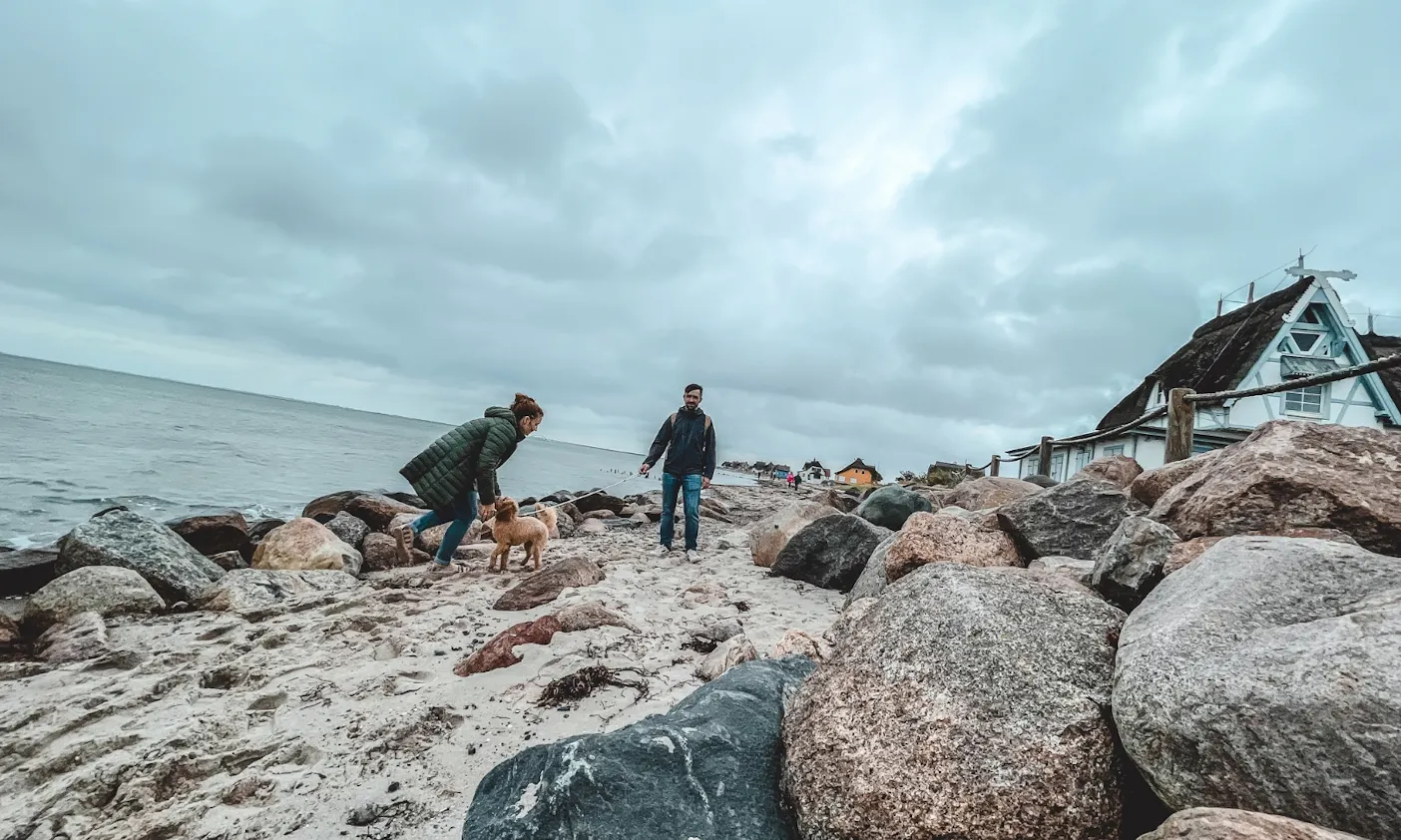 Graswarder in Heiligenhafen an der Ostsee mit Mini Goldendoodle Java