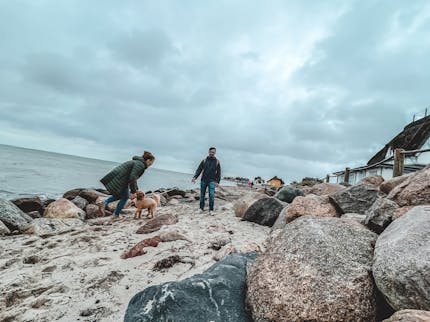 Heiligenhafen mit Hund