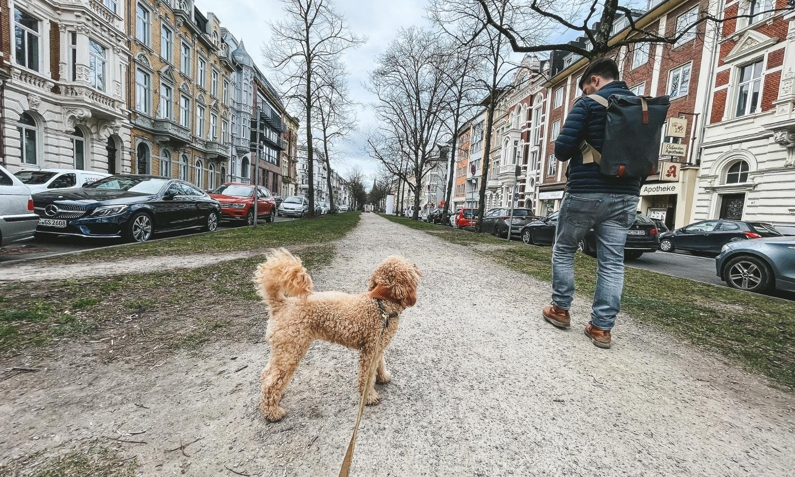 Frankenberger Viertel mit Hund in Aachen