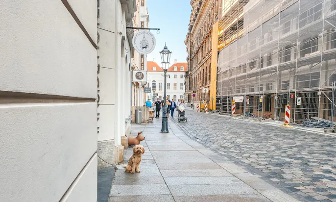 Hundeboutique Elbhunde in Dresden