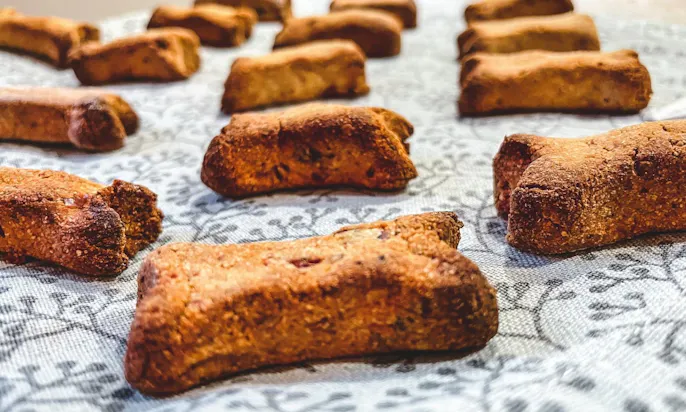 Winterliche Hundekekse backen