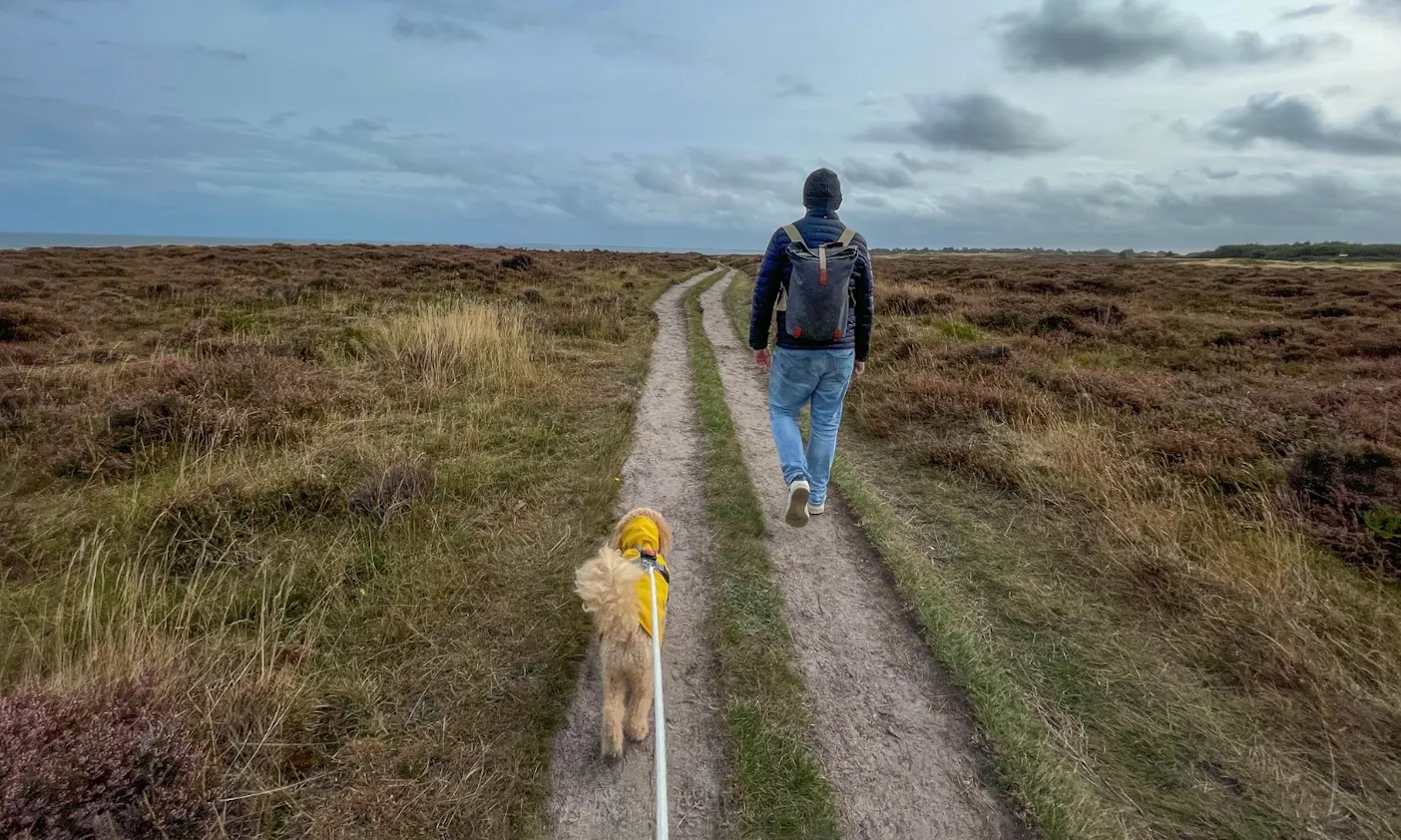 Wandern auf Sylt mit Hund