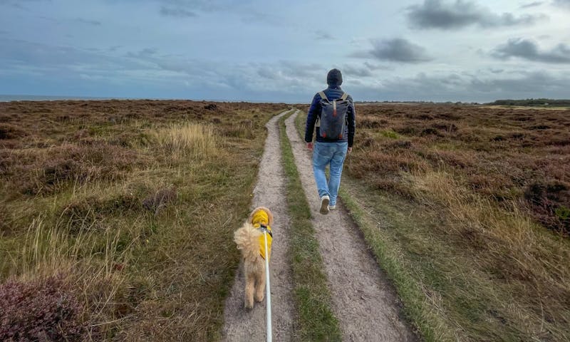 Wandern auf Sylt mit Hund