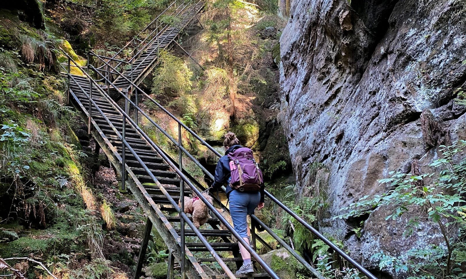 Gemeinsame Abendteuer mit Hund