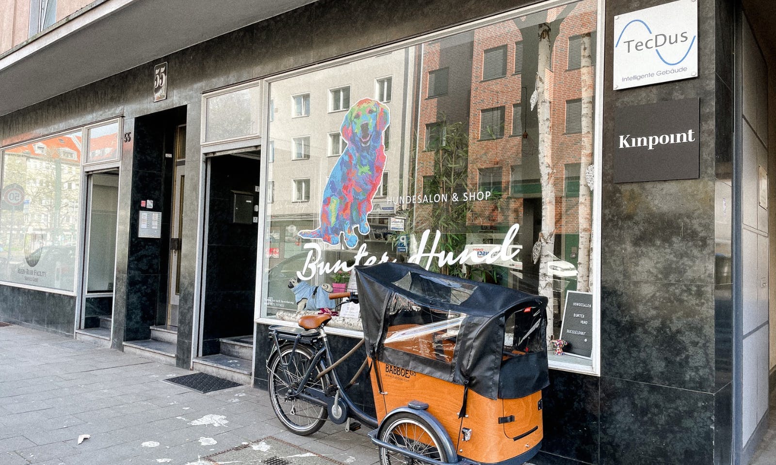 Hundefriseur Düsseldorf Bunter Hund