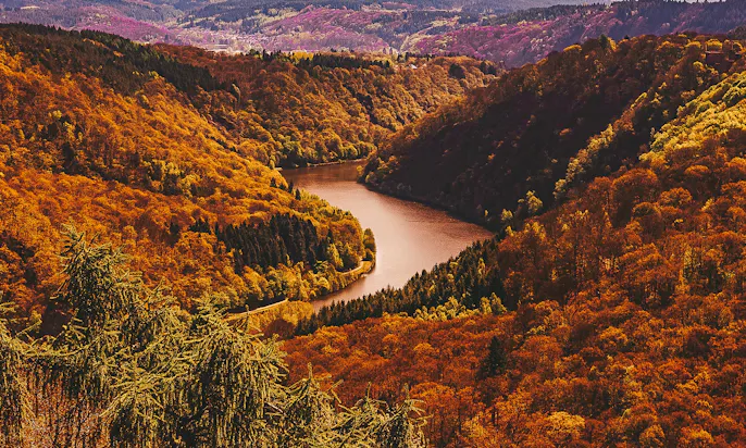 Saar-Hunsrück-Steig durch Rheinland-Pflalz