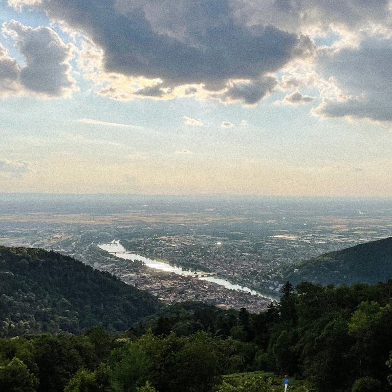 Berggasthof Königstuhl in Heidelberg mit Hund