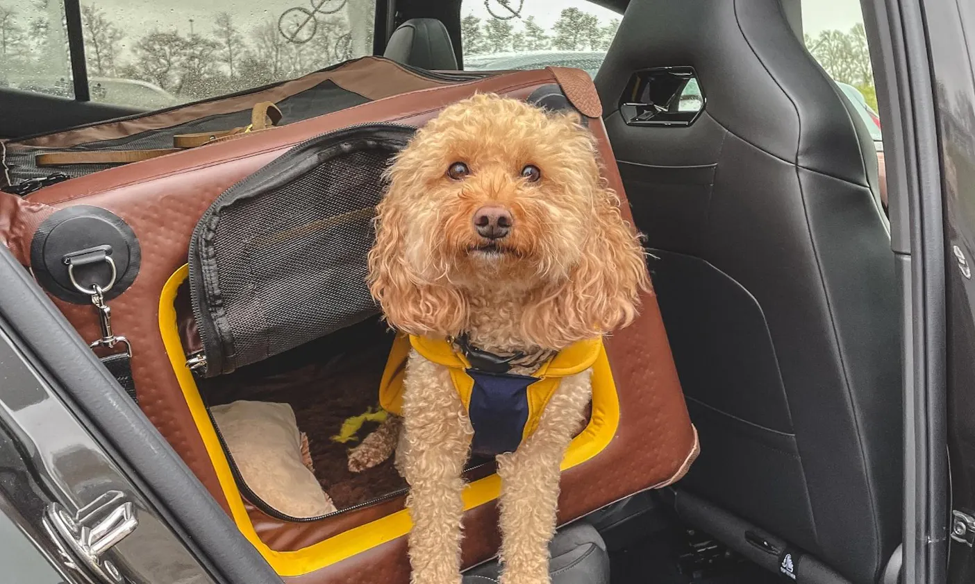 Hundetransportbox für den VW ID.4