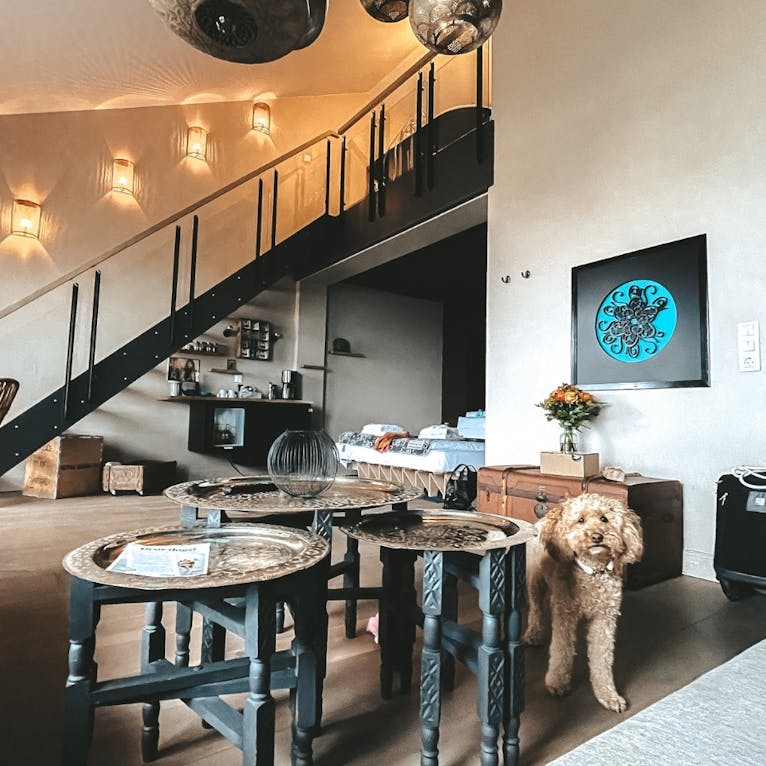 Beach Motel Heiligenhafen mit Hund