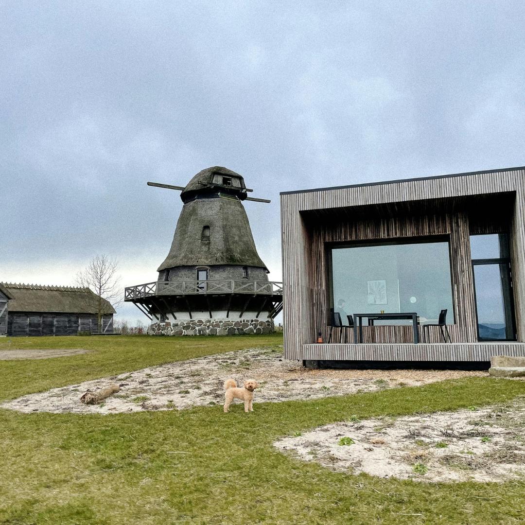 Urlaub im Tiny House in Dänemark mit Hund