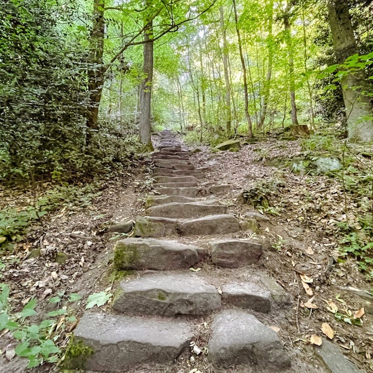 Königstuhl in Heidelberg