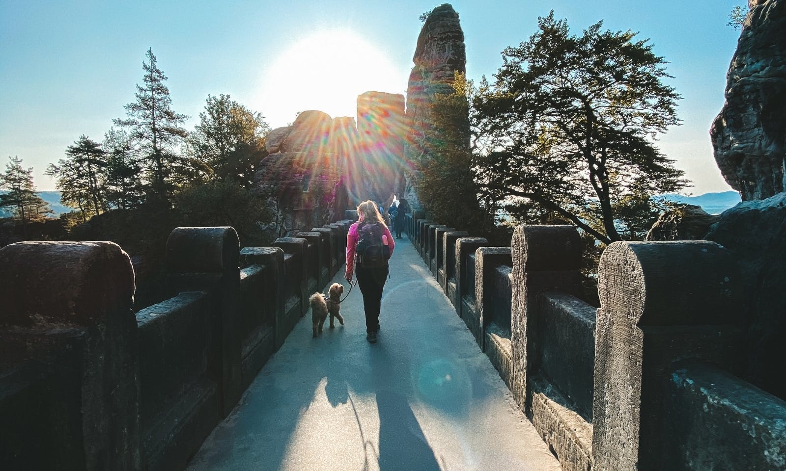 Bastei in der Sächsischen Schweiz mit Hund