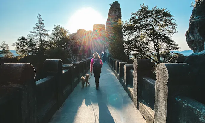 Joggingleine Pudel beim Wandern in der Sächsischen Schweiz