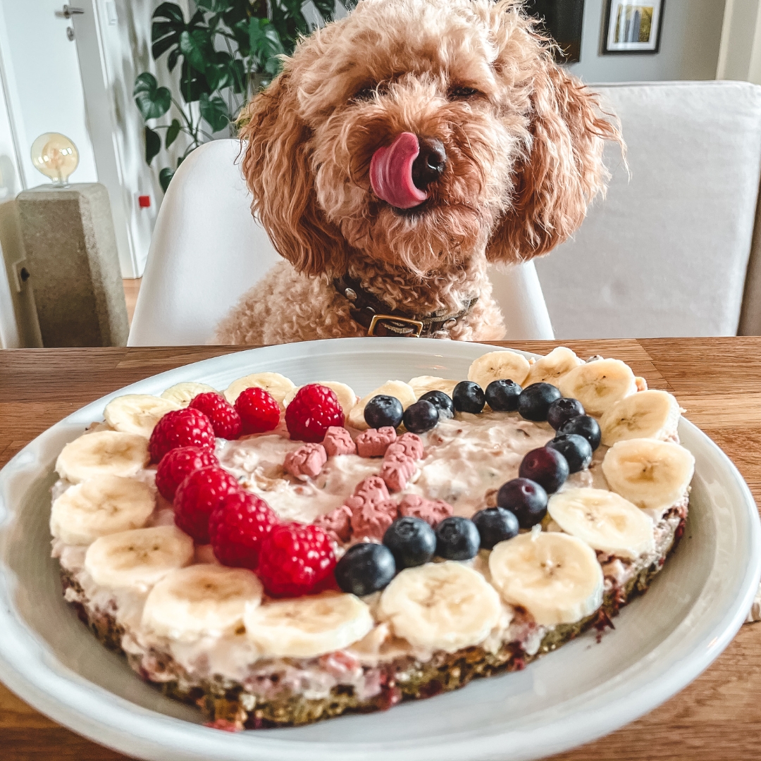 Hundetorte