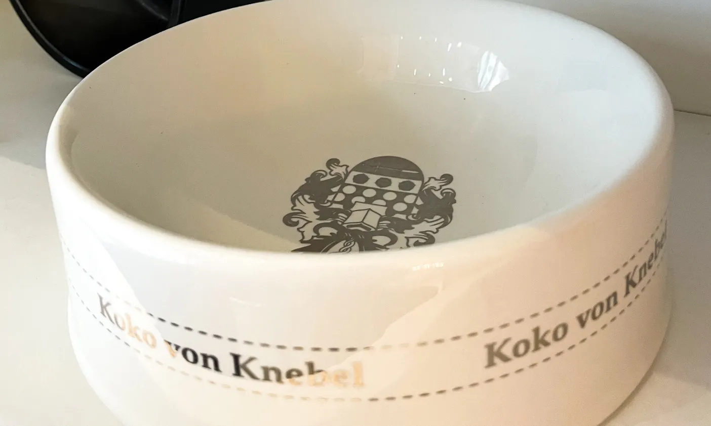 Koko von Knebel Hundeladen Sylt Westerland