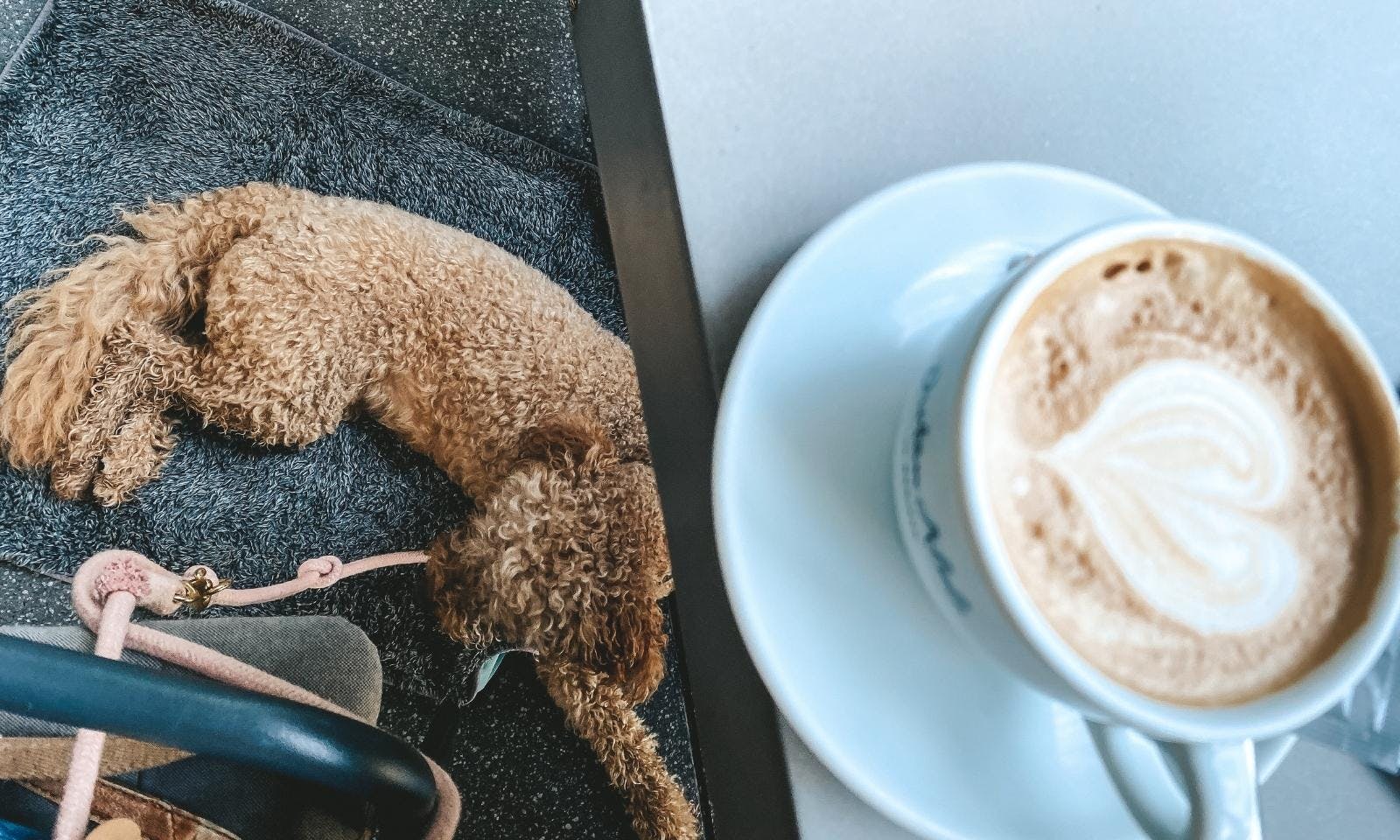 Dritan Alsela Coffee Düsseldorf mit Hund