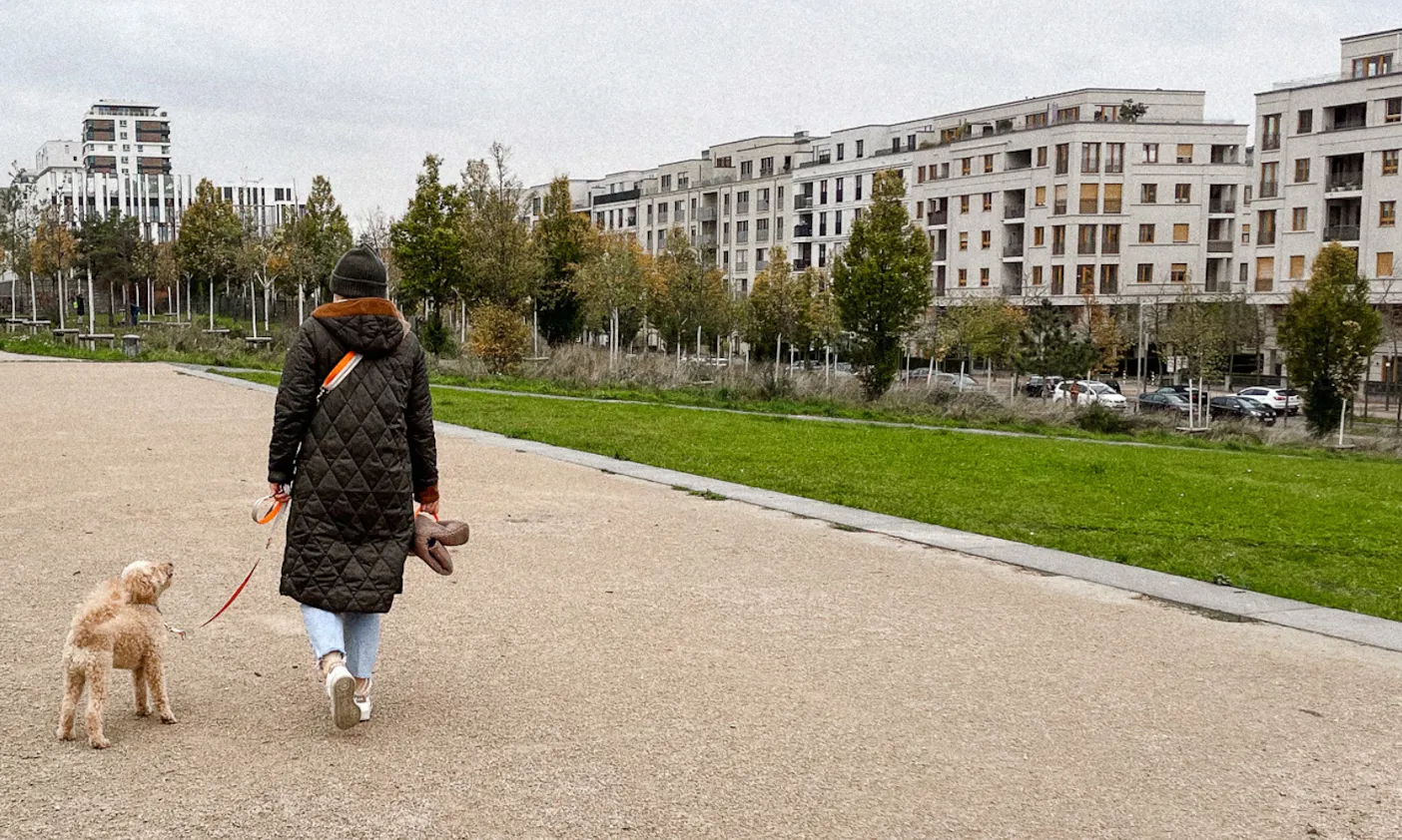 Hundeklunker Teddy Kollektion für Hunde