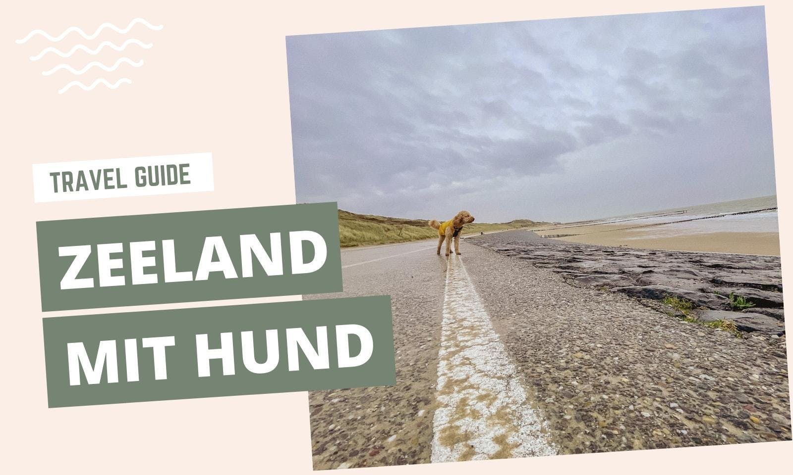 Travel Guide Zeeland mit Hund
