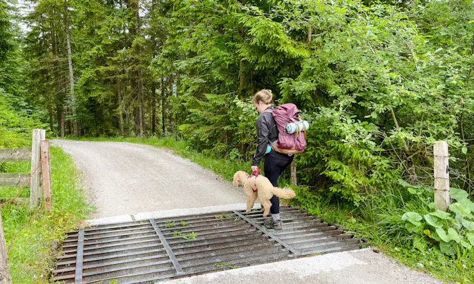 Wandern am Grießbachklamm mit Hund