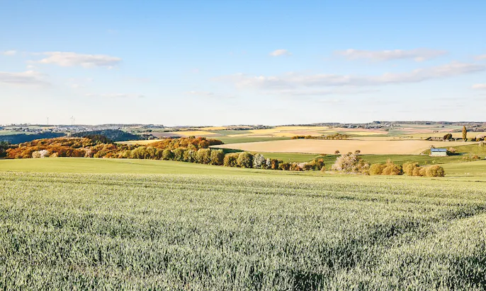 Saar-Hunsrück-Steig durch Rheinland-Pflalz