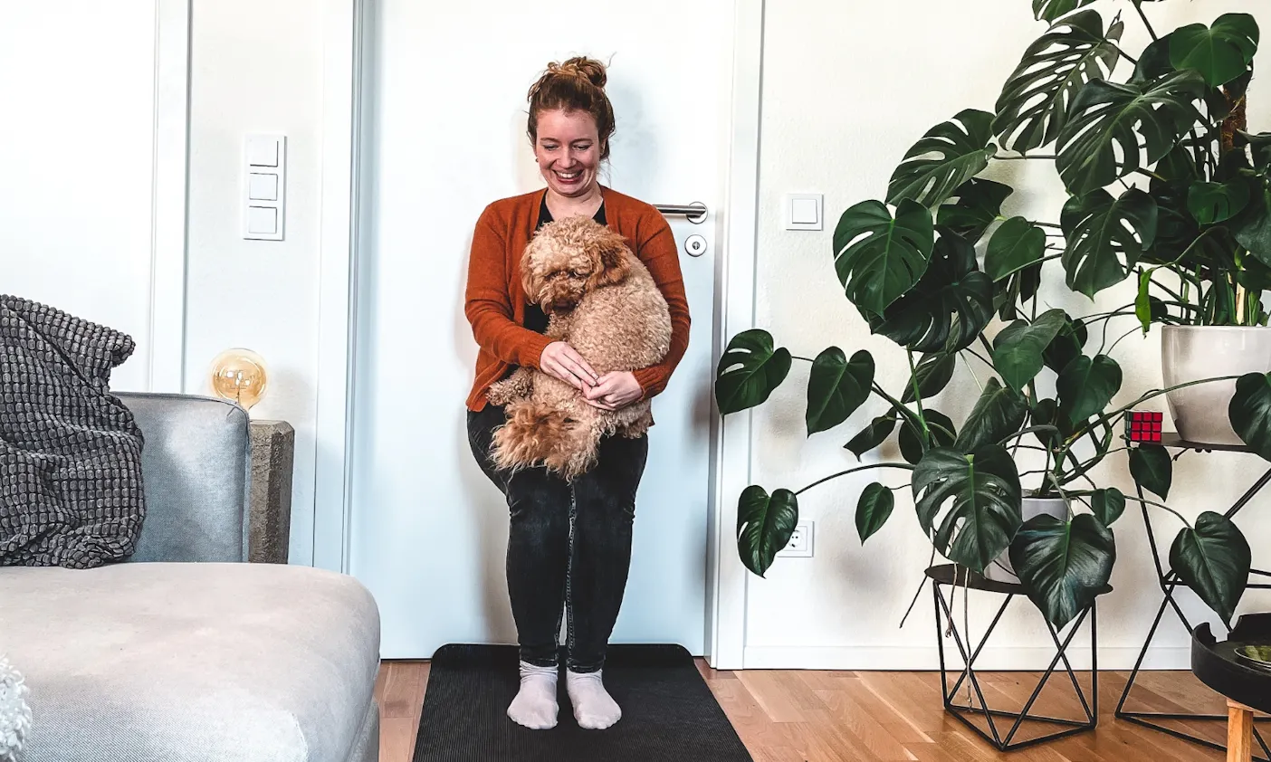 Trickdogging mit Goldendoodle Java