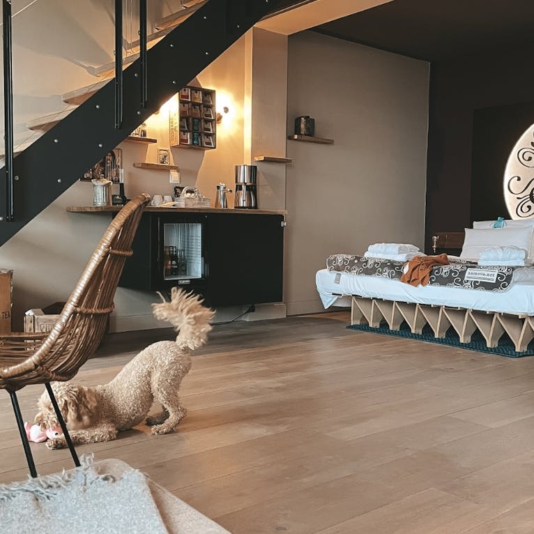 Beach Motel Heiligenhafen mit Hund