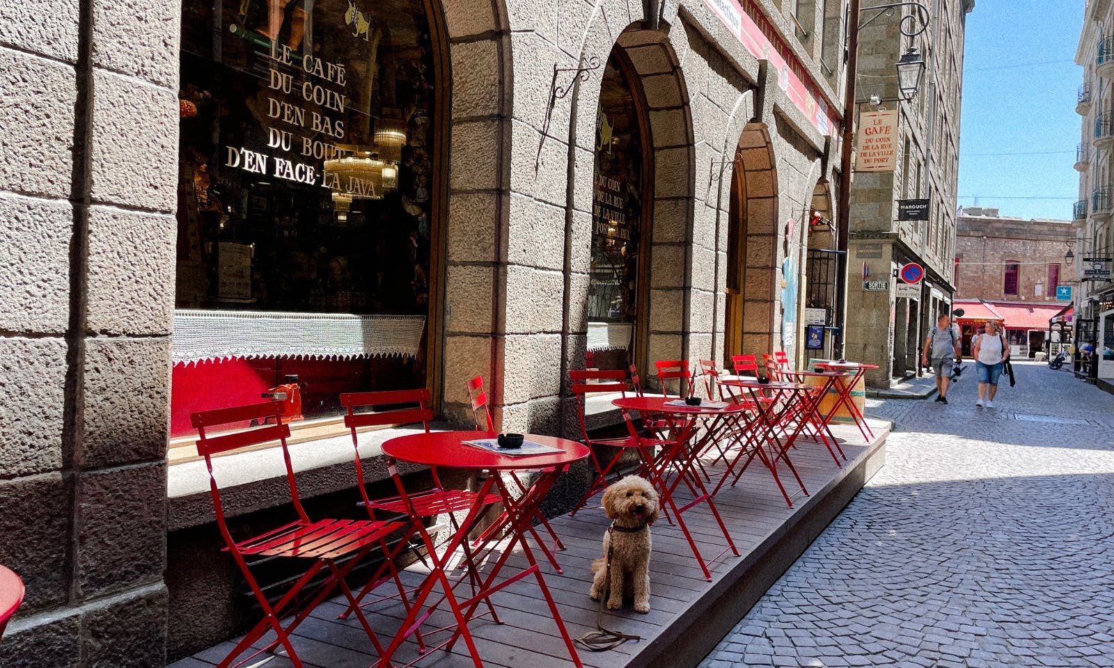 Pudelmischling Java vor einem französischen Bistro in St- Malo in der Bretagne