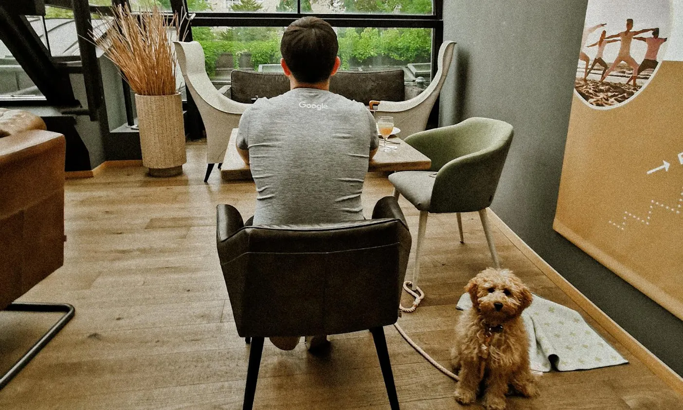 hundefreundliche Hotels auf Rügen