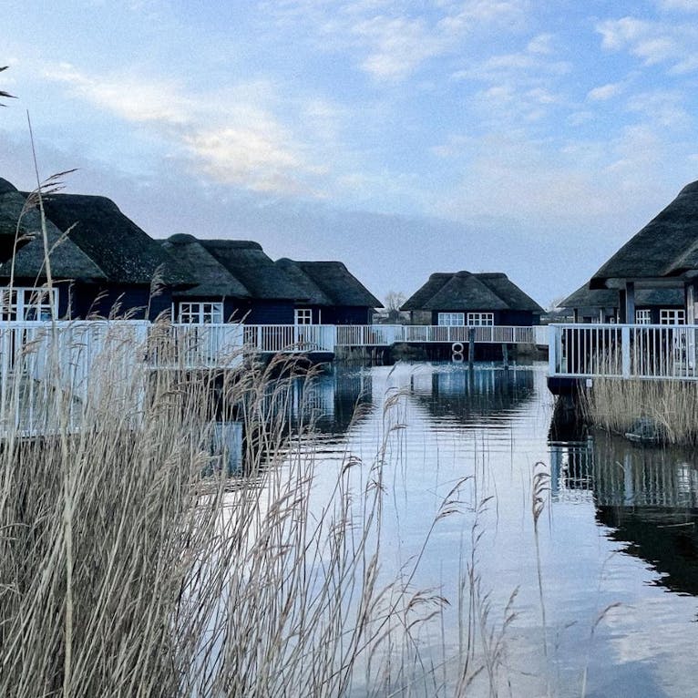 6-Sterne Glamping mit Hund an der Nordsee