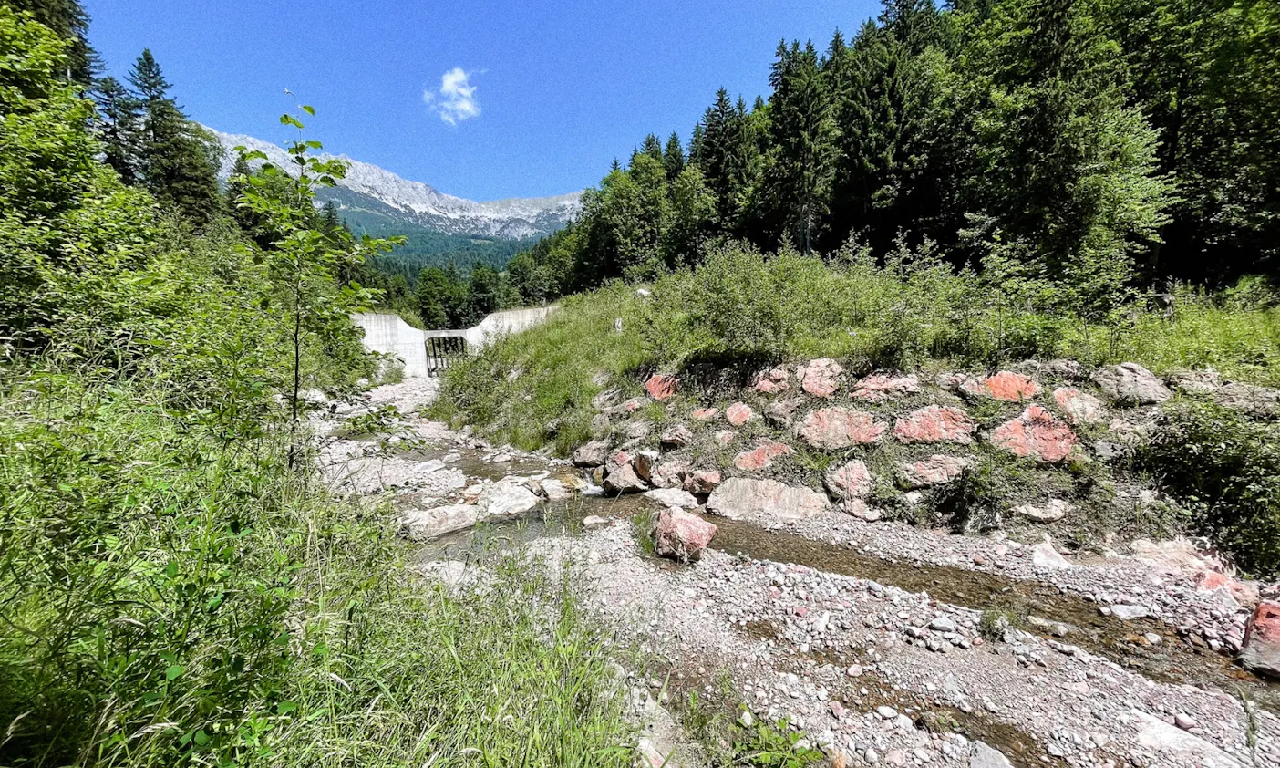 Wandern mit Hund am Wilden Kaiser: Von Scheffau zum Wasserfall in Söll