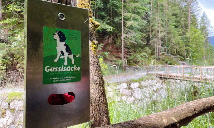 Regeln für Hunde in den Kitzbüheler Alpen