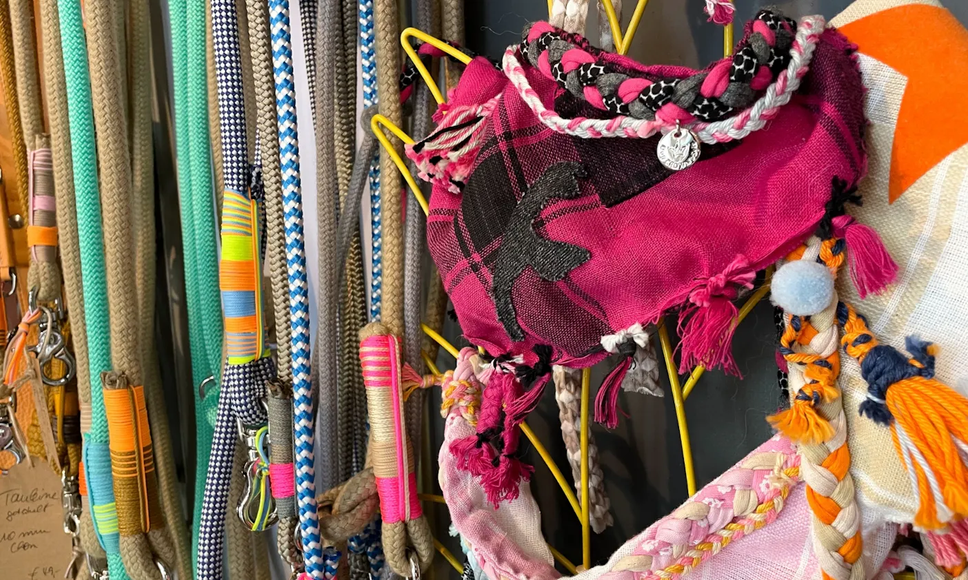 Hunde-Accessoires in Sylt kaufen