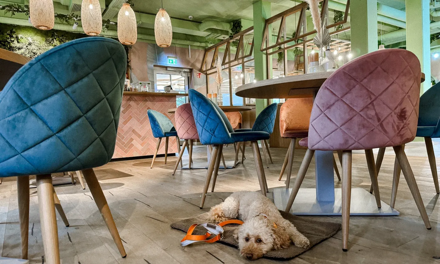 Hundefreundliches Restaurant The Cove in Büsum