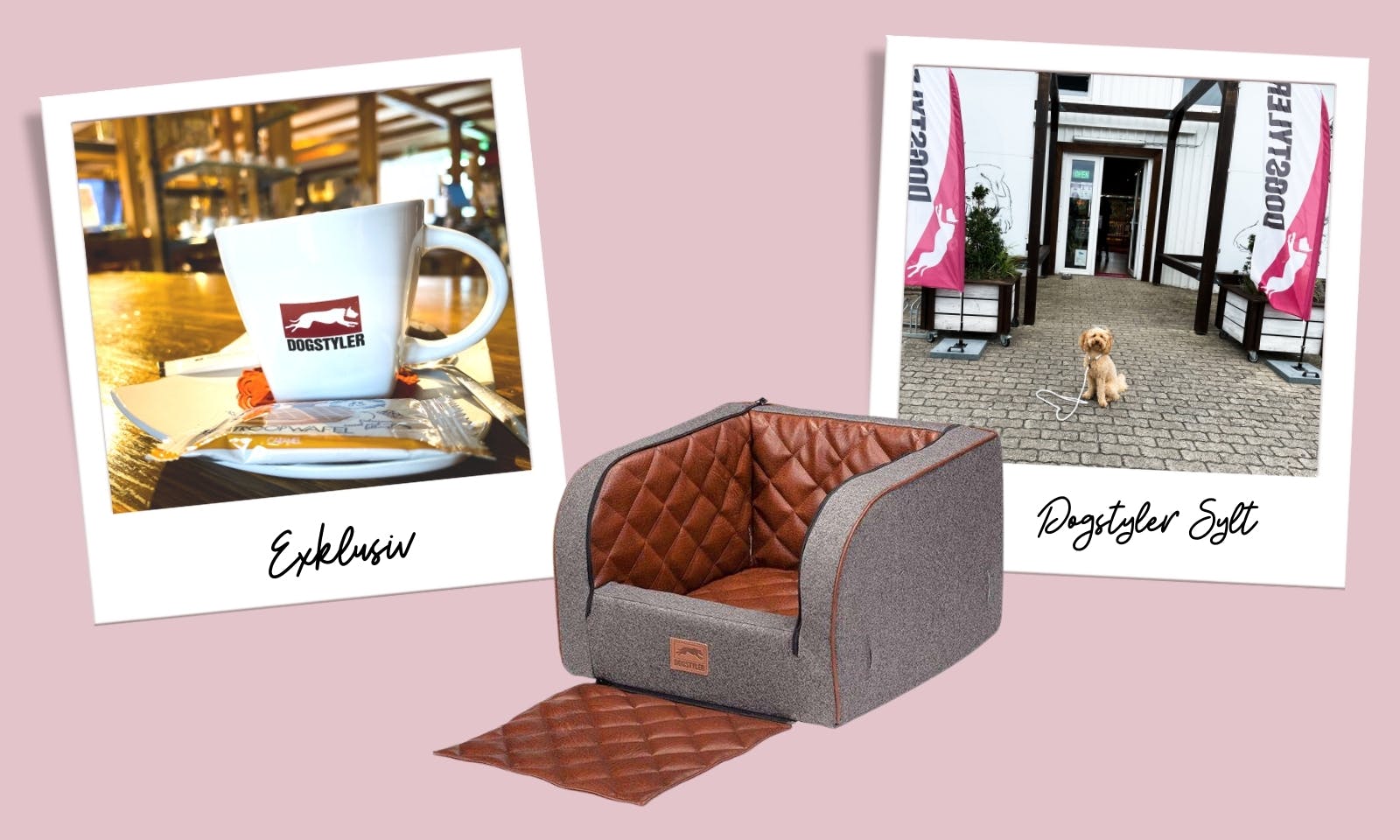 Zu Besuch bei der Luxushundemarke Dogstyler auf Sylt