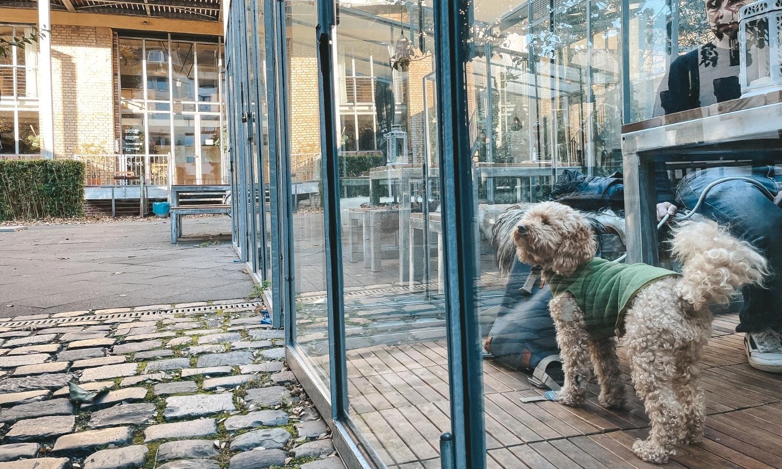 Hundefreundliches Restaurant in Düsseldorf Pempelfort: Spoerl Fabrik 