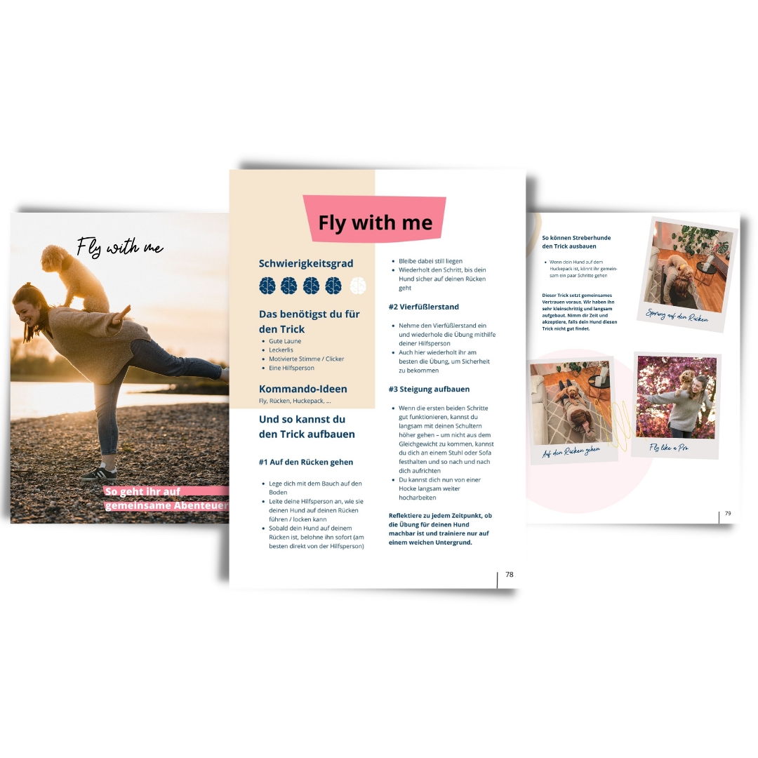 Vorschau E-Book: 21 niedliche Hundetricks