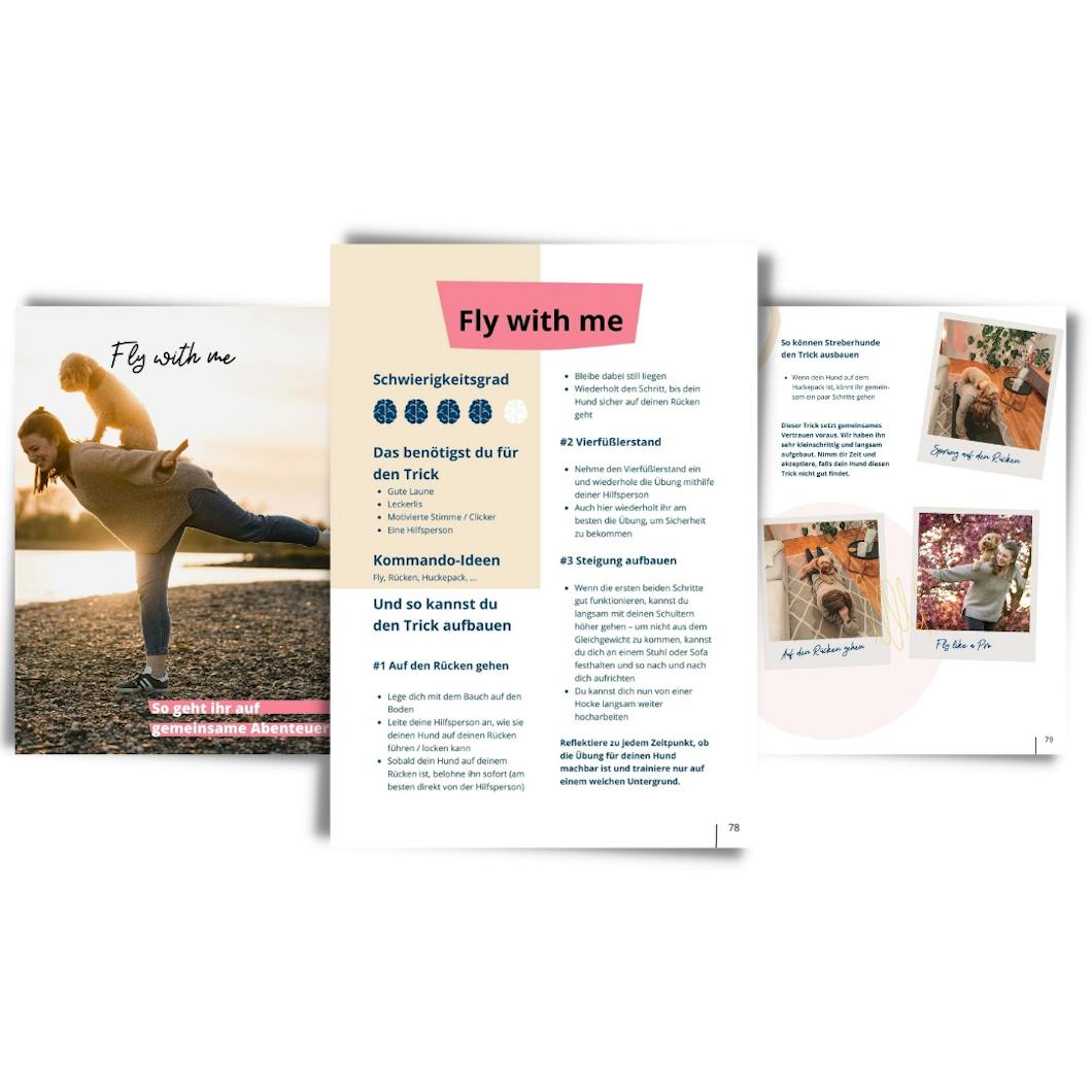 Vorschau E-Book: 21 niedliche Hundetricks