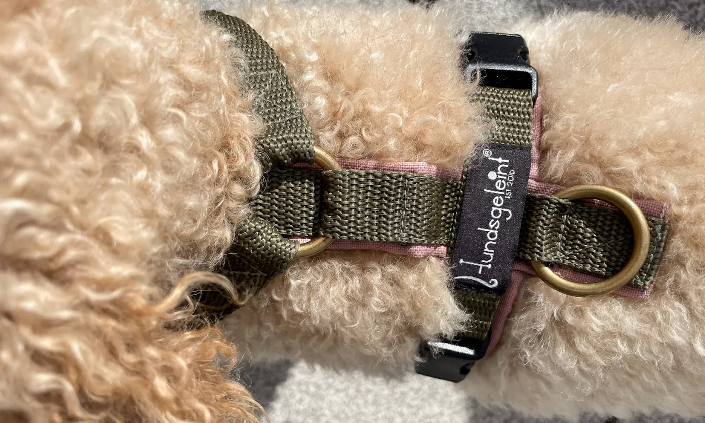 Hundegeschirr von Hundsgeleint