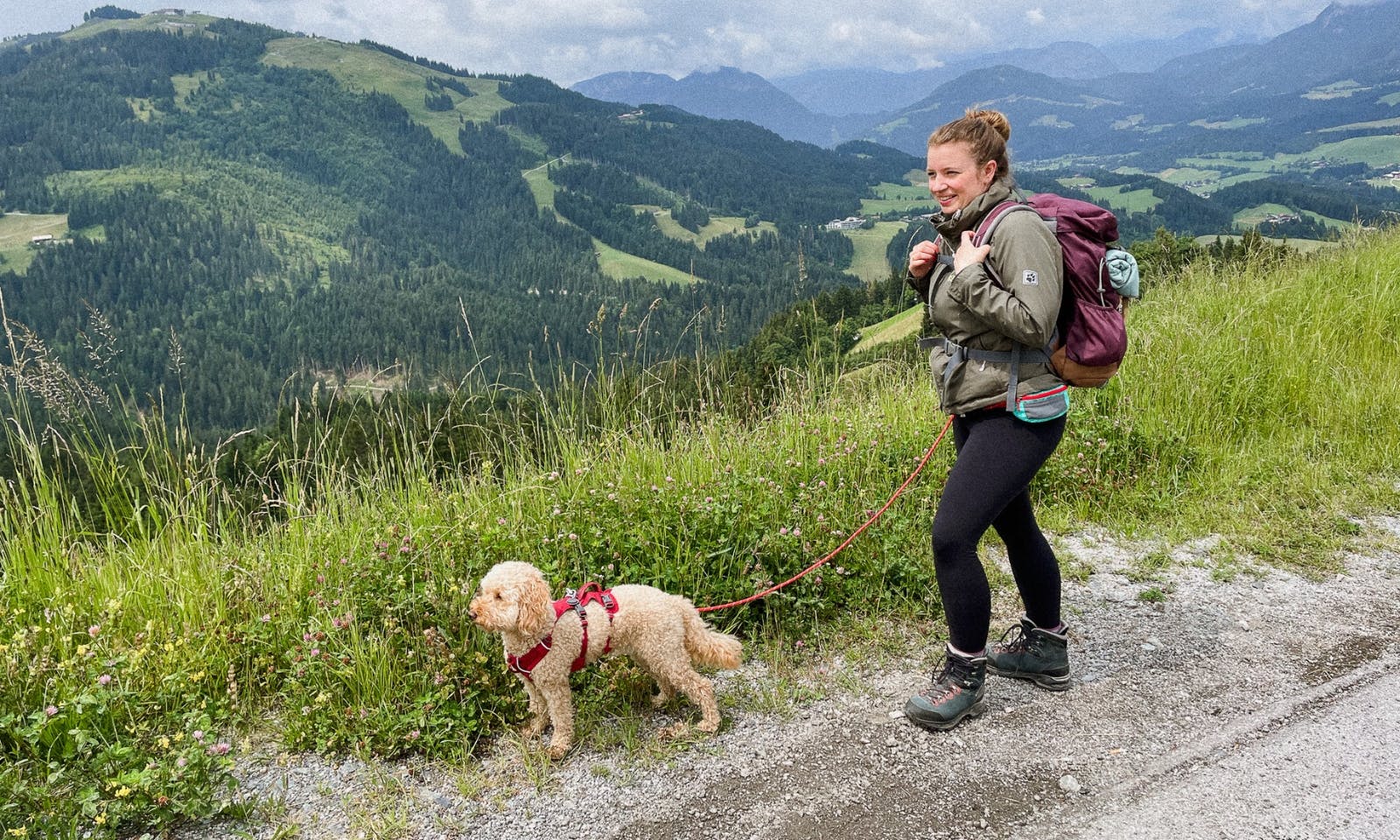 Ruffwear Hundegeschirr